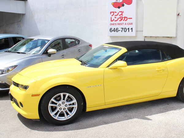 流行りのカフェまでちょっとドライブ